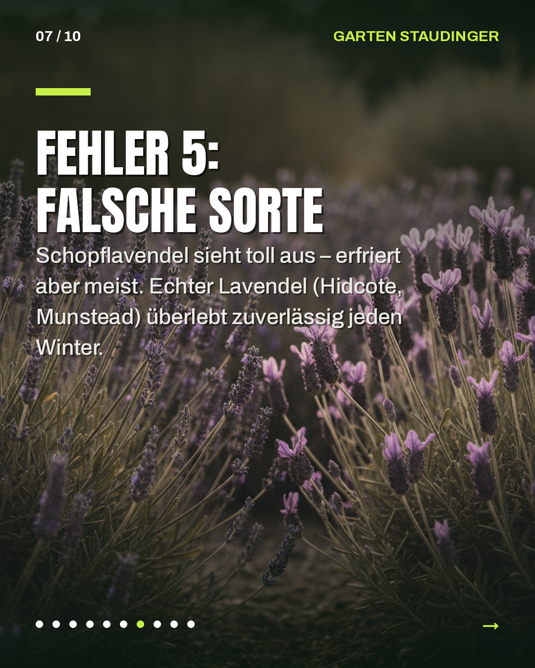 Slide 7